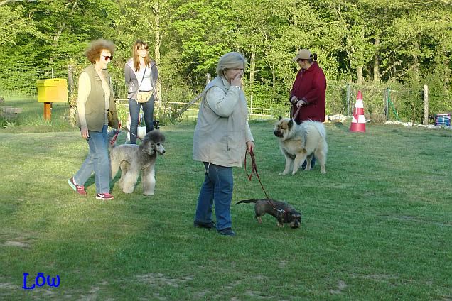 Pippa, Alma, Joy und ich 21.4.2016